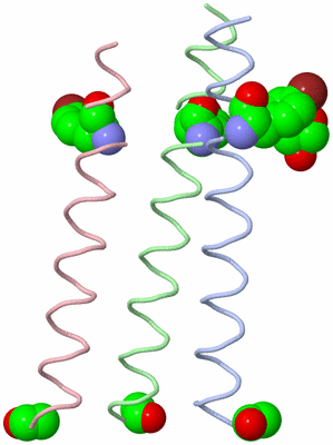 Image Asymmetric Unit