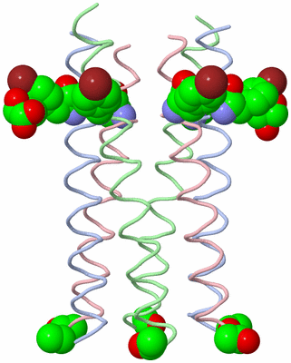 Image Biological Unit 1