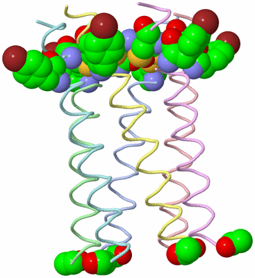 Image Biological Unit 1