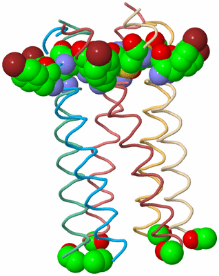 Image Biological Unit 2