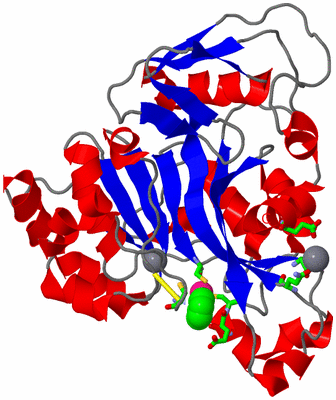 Image Asym./Biol. Unit - sites