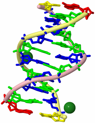 Image Biological Unit 2