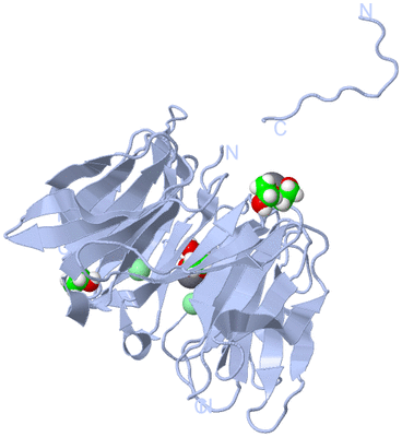 Image Biological Unit 1