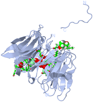 Image Biol. Unit 1 - sites