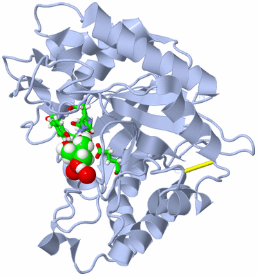 Image Biol. Unit 1 - sites