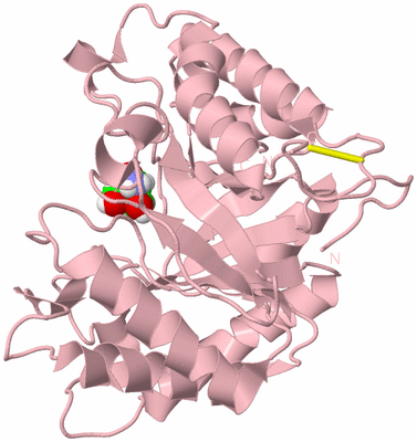 Image Biological Unit 3