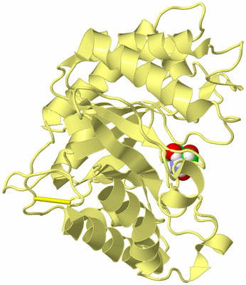 Image Biological Unit 4