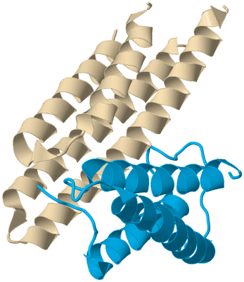 Image Biological Unit 3