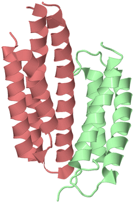 Image Biological Unit 4