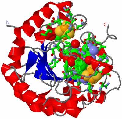 Image Asym./Biol. Unit - sites