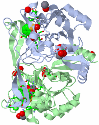 Image Biol. Unit 1 - sites