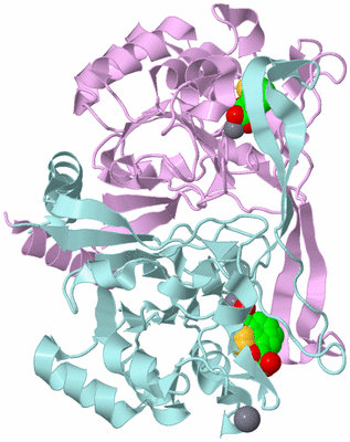 Image Biological Unit 3