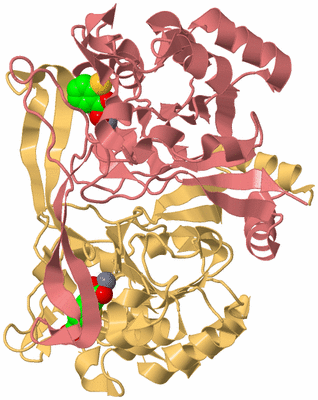 Image Biological Unit 4