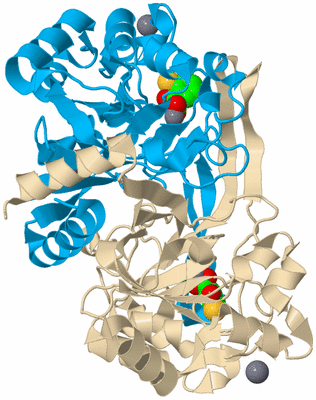 Image Biological Unit 5