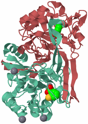 Image Biological Unit 6