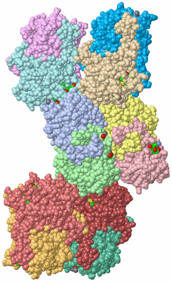 Image Asym. Unit - sites