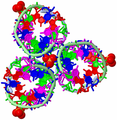 Image Biological Unit 1