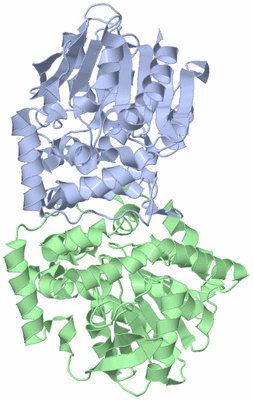 Image Asym./Biol. Unit