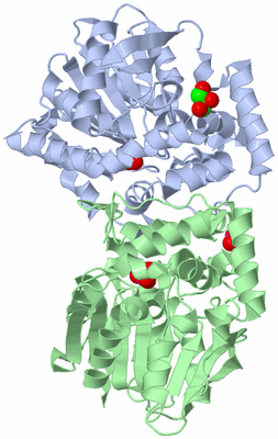 Image Asym./Biol. Unit