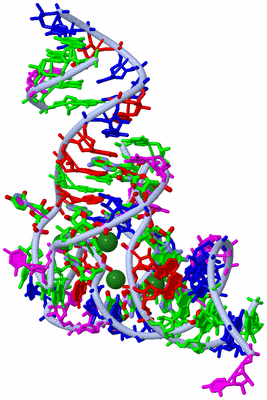 Image Biol. Unit 1 - sites