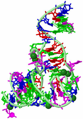 Image Biological Unit 2