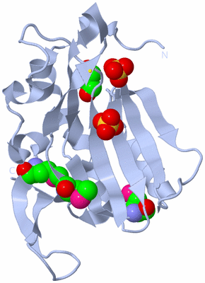 Image Biological Unit 1