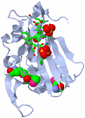 Image Biol. Unit 1 - sites