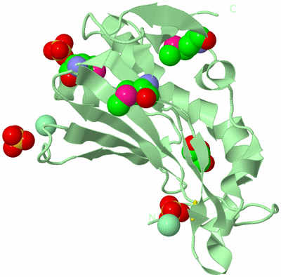 Image Biological Unit 2