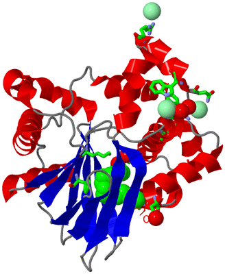 Image Asym./Biol. Unit - sites