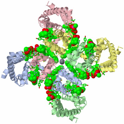 Image Asym./Biol. Unit - sites