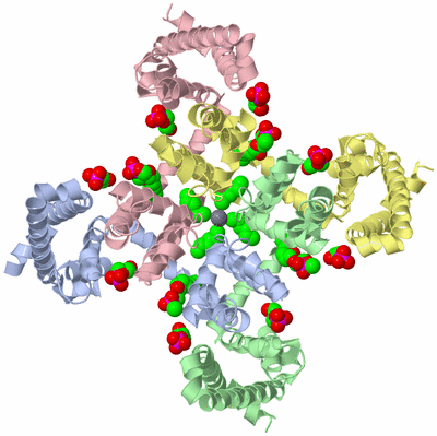 Image Asym./Biol. Unit