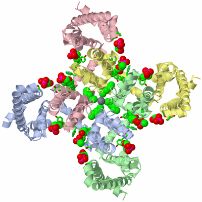 Image Asym./Biol. Unit - sites