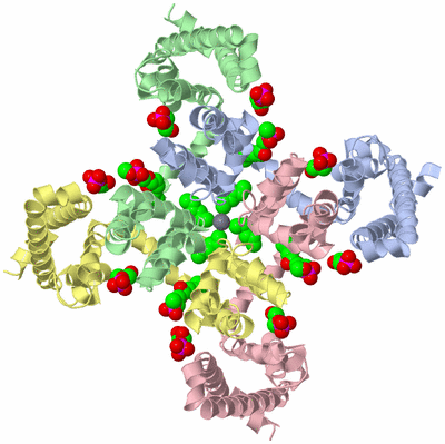 Image Asym./Biol. Unit