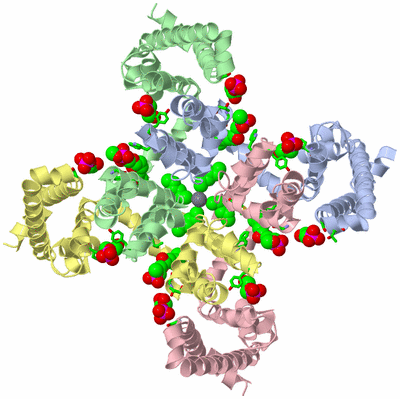 Image Asym./Biol. Unit - sites