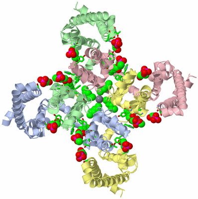 Image Asym./Biol. Unit - sites