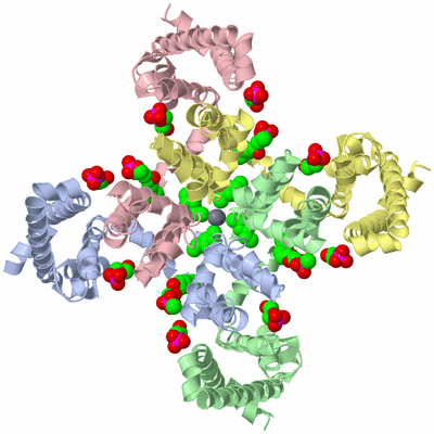 Image Asym./Biol. Unit