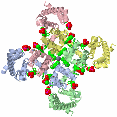 Image Asym./Biol. Unit - sites