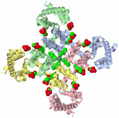 Image Asym./Biol. Unit