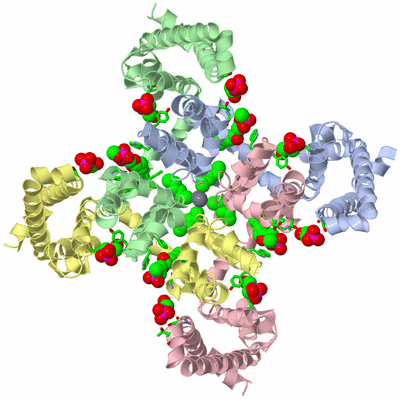 Image Asym./Biol. Unit - sites