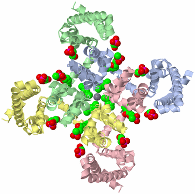 Image Asym./Biol. Unit