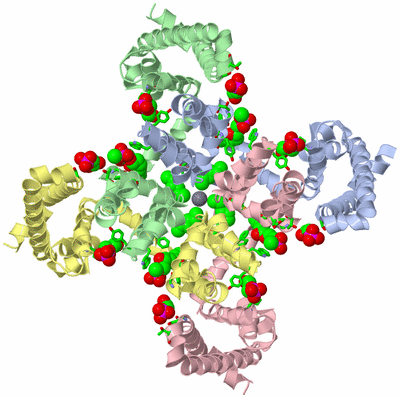 Image Asym./Biol. Unit - sites