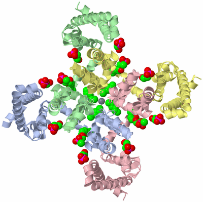 Image Asym./Biol. Unit