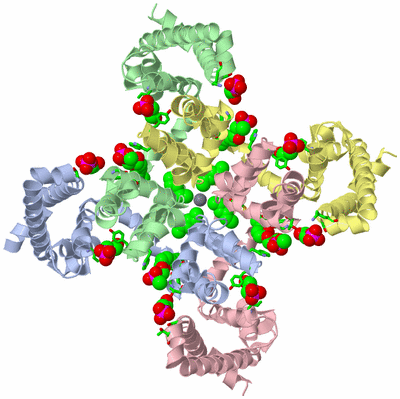 Image Asym./Biol. Unit - sites