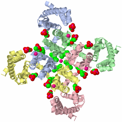 Image Asym./Biol. Unit