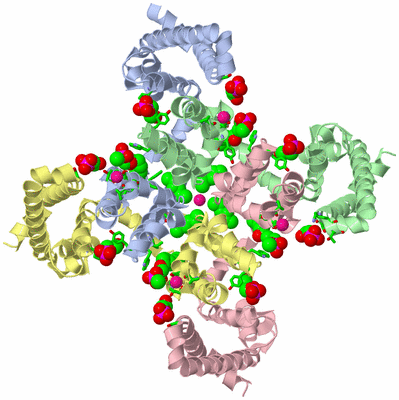 Image Asym./Biol. Unit - sites