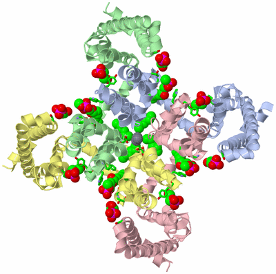 Image Asym./Biol. Unit - sites