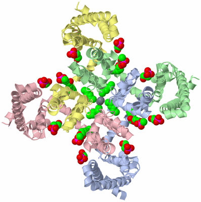 Image Asym./Biol. Unit