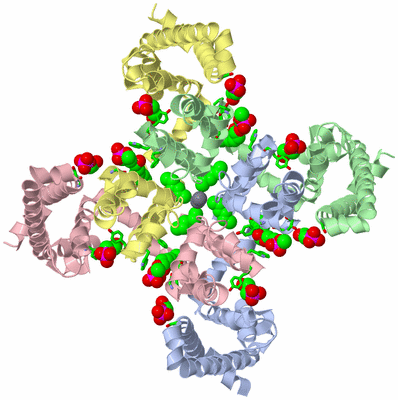 Image Asym./Biol. Unit - sites