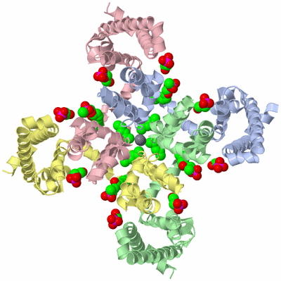 Image Asym./Biol. Unit