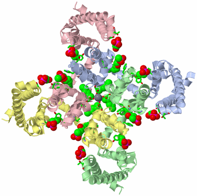 Image Asym./Biol. Unit - sites